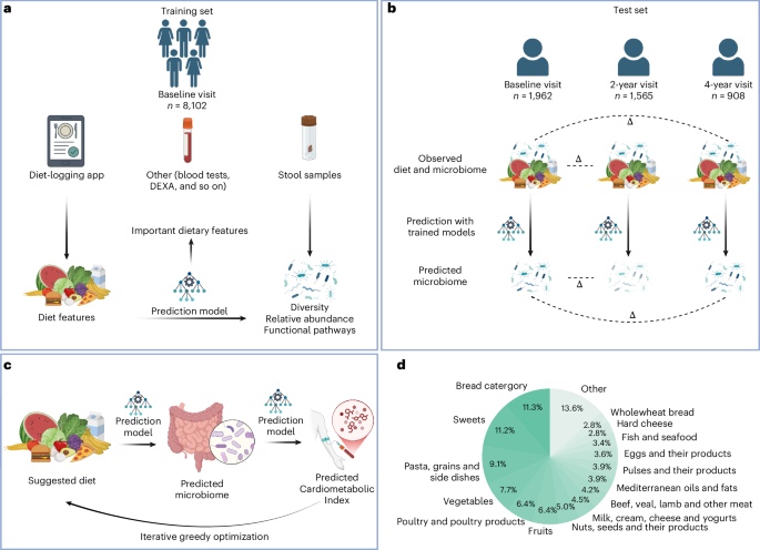 Diet–microbiome associations in 10,068 individuals from the Human Phenotype Project to guide personalized nutrition