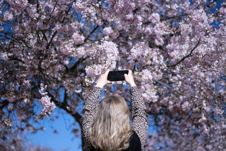 Expert guide to vitamin D during menopause: why you might need supplements even in spring
