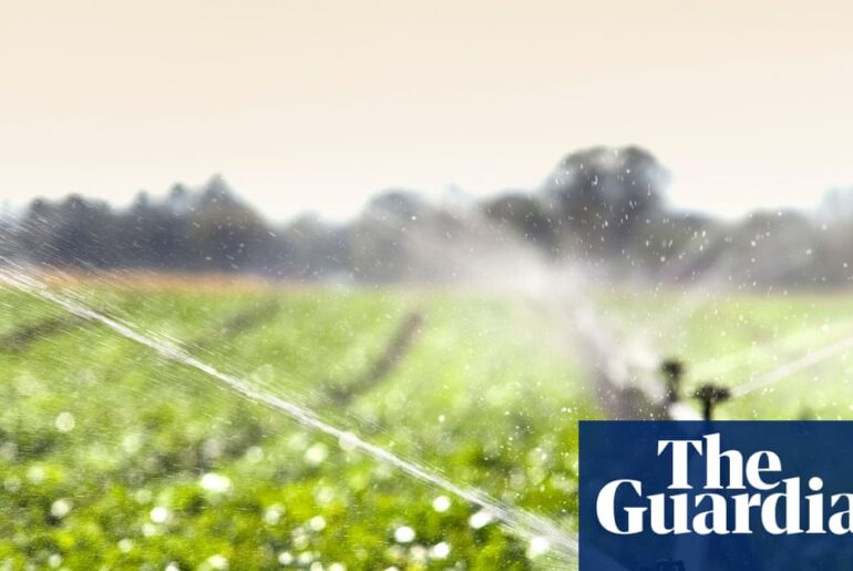 Investment in food systems should be a priority