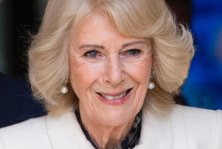 For the last several years, Queen Camilla has been visiting The Couture Brow, a specialist based at The Lanesborough Club & Spa in London, for bespoke brow design. .