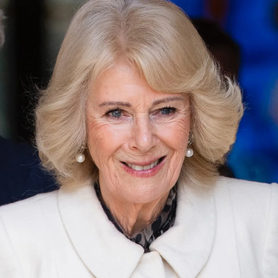 For the last several years, Queen Camilla has been visiting The Couture Brow, a specialist based at The Lanesborough Club & Spa in London, for bespoke brow design. .
