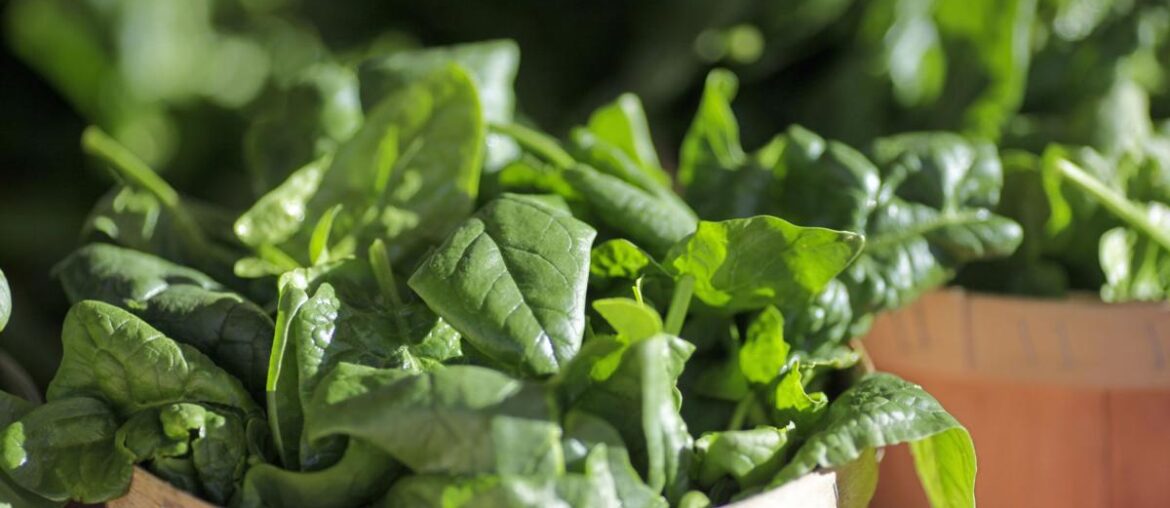 National Nutrition Month highlights healthy eating habits