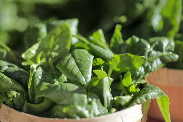 National Nutrition Month highlights healthy eating habits