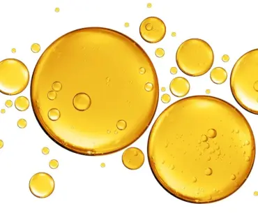 Nutrition Insight logo