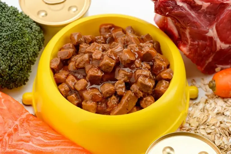 Nutrition Insight logo