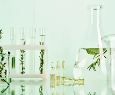 Nutrition Insight logo