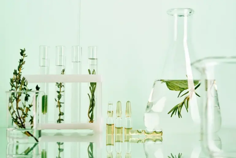 Nutrition Insight logo