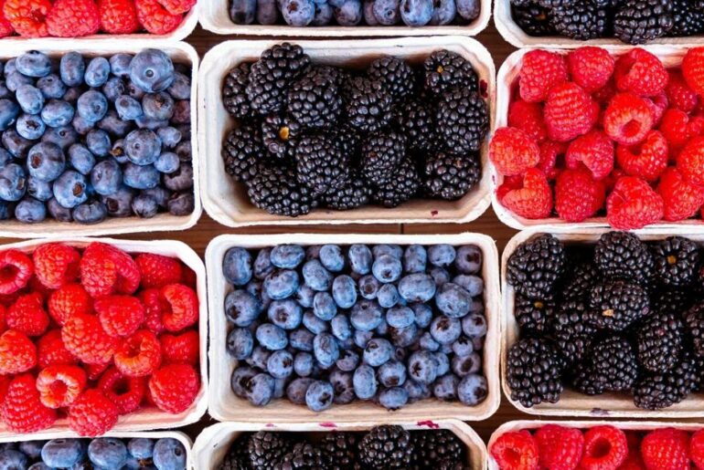 Brain aging slowed by over 2 years with unique diet