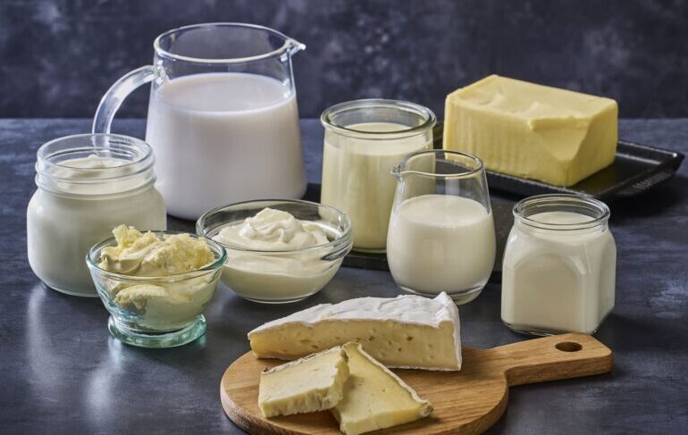Dairy Protein Market Outlook: Nutritional Demand and Functional Food Growth Opportunities