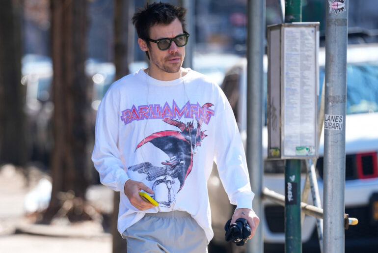 Harry Styles splurges 20k on new home wellness feature