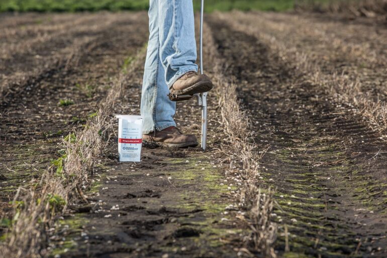 5 crop nutrition strategies to maximize ROI – AgriNews