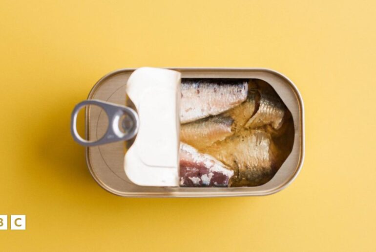 An opened tin of fish with a yellow background