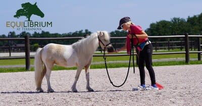 Equilibrium Program at TerraNova Equestrian Center