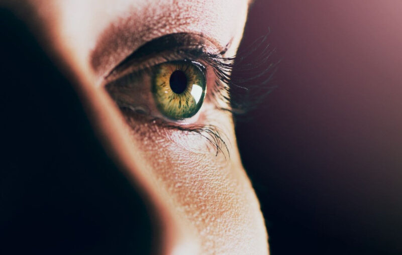 Research Tip Sheet: Immunity, Cancer Wasting, Eye Disease