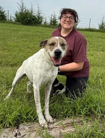 Arianna Erixson with Solo, a dog from Hearts United for AnimalsCredit: Courtesy of Arianna Erixson