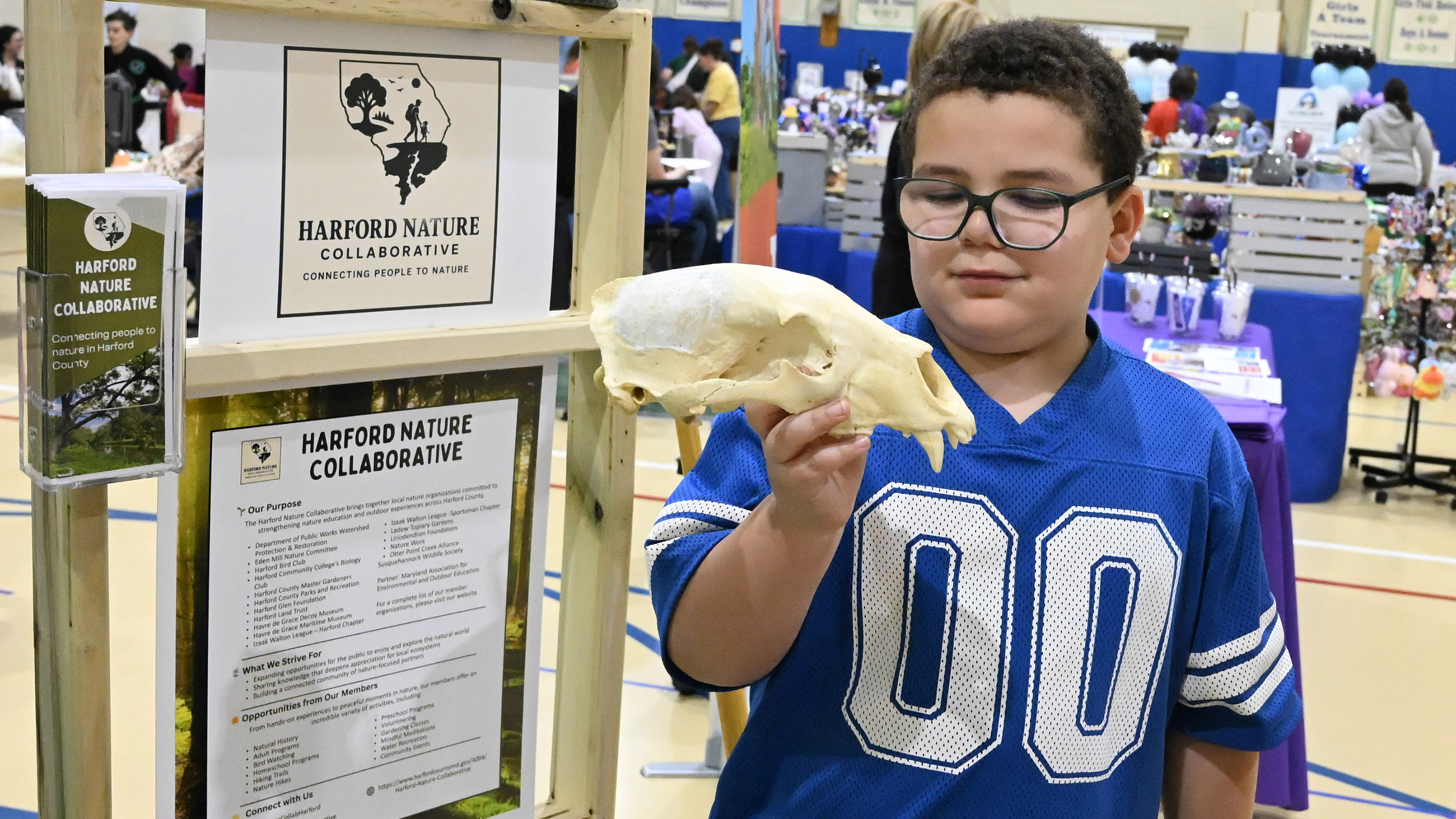 Eight-year-old Joseph Flateau of Abingdon inspects the skull of a black bear at a booth setup by Harford Nature Collaborative at the Spring Into Wellness Fair, organized by Macaroni Kid Bel Air, at Harford Day School on Saturday. (Brian Krista/Staff)