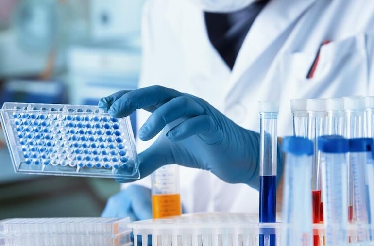 vai alla homepage de Il Sole 24 Ore