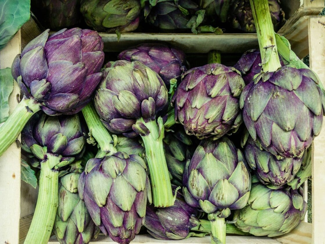 Artichoke, Purple Fruits and Vegetables, Unsplash