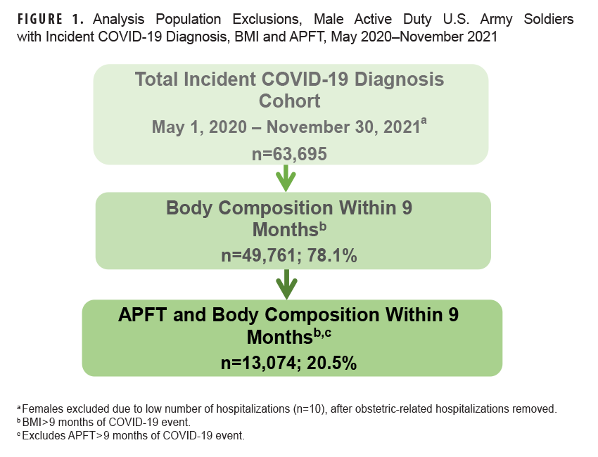 FIGURE 1. Analysis Population Exclusions, Male Active Duty U.S. Army Soldiers with Incident COVID-19 Diagnosis, BMI and APFT, May 2020–November 2021. This flow chart provides the specific numbers of the study cohort during each stage of the exclusion process to determine the final study population. The initial count, for those with an incident COVID-19 diagnosis from May 1, 2020 through November 30, 2021 was 63,695. When body composition data at least nine months following COVID-19 diagnosis among the original study population sample were assessed, the cohort was reduced to 49,761, or 78.1 of the original population sample. Finally, when Army physical fitness test data within nine months following COVID-19 diagnosis, combined with body composition data during the same period, were assessed among the remaining study population sample, the cohort was reduced to a final number of 13,074, or 20.5 percent of the original population total.