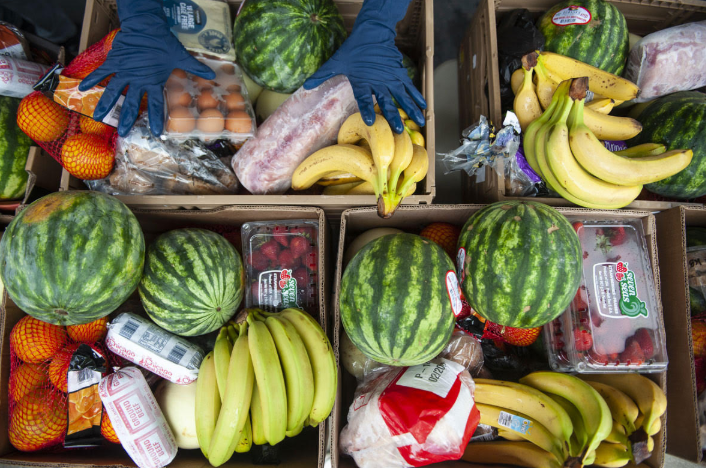 Why education and nutrition are the foundation of better health