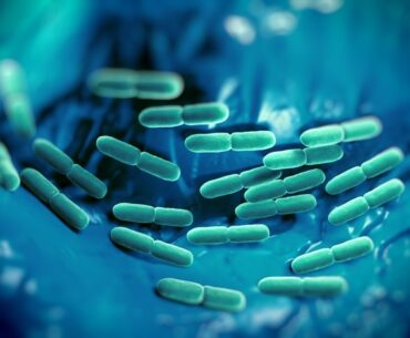 Researchers identify TRIM13 protein as key driver of immune suppression in sepsis