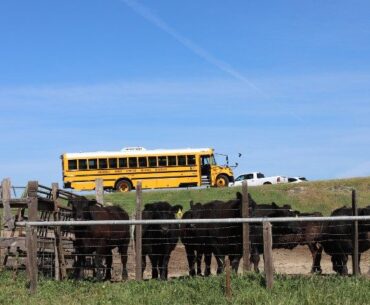 California Ranch-to-Tray tours connect school nutrition professionals to the beef supply chain
