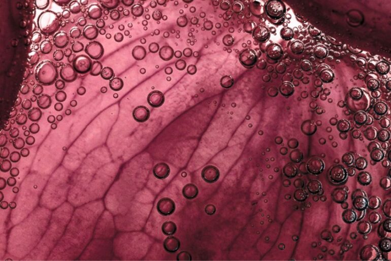 Symrise has launched a Care and Wellness Division.