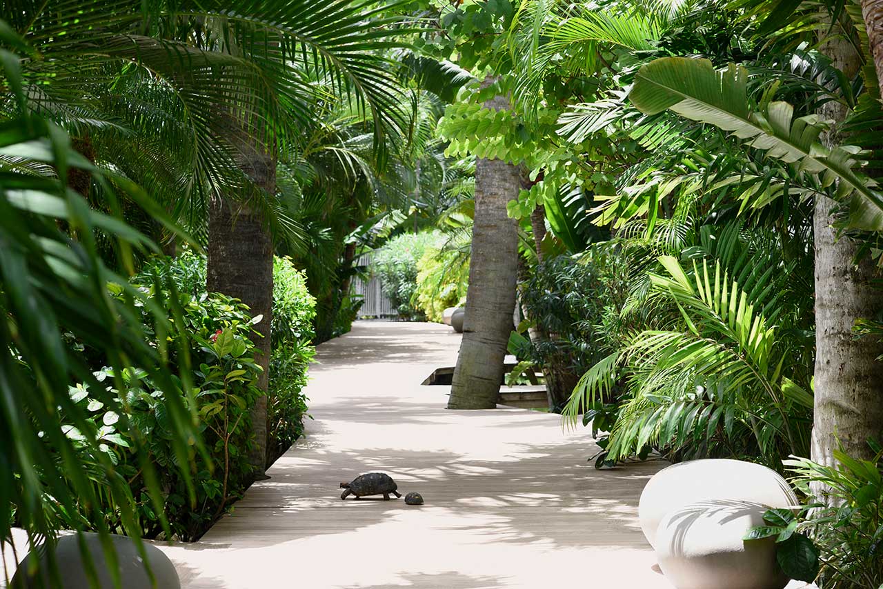 Cheval Blanc - St Barth wellness - gardens