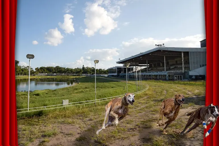 GREY2K USA Worldwide and Animal Wellness Action Celebrate Passage of a Ban on Greyhound Racing in America