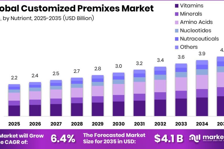 Customized Premixes Market Size