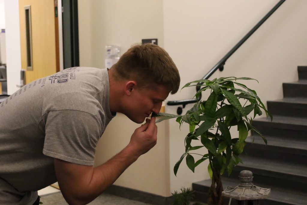A student smells a plant.