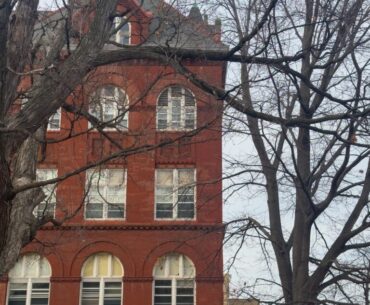 UW study observes guenon monkeys in Africa to explore social nutrition – The Badger Herald