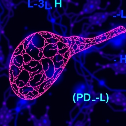KCTD1 Boosts PD-L1, Weakening Liver Cancer Immunity