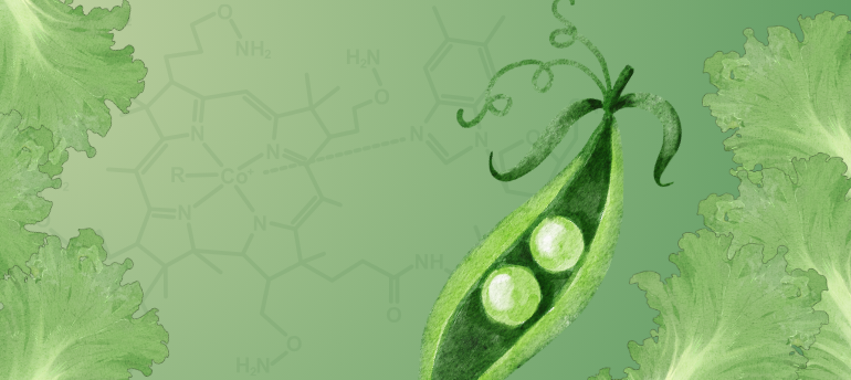 Fortified Pea Shoots Could Help Tackle Vitamin B-12 Deficiency