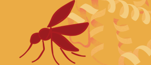 Plasmodium vivax Malaria Vaccine Overcomes Major Hurdle