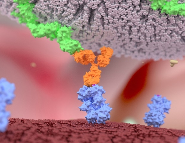 Gut microbiota-derived metabolite directly shapes immune responses in bacterial pneumonia