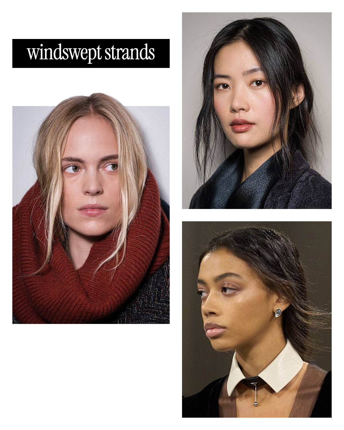 Windswept strands collage