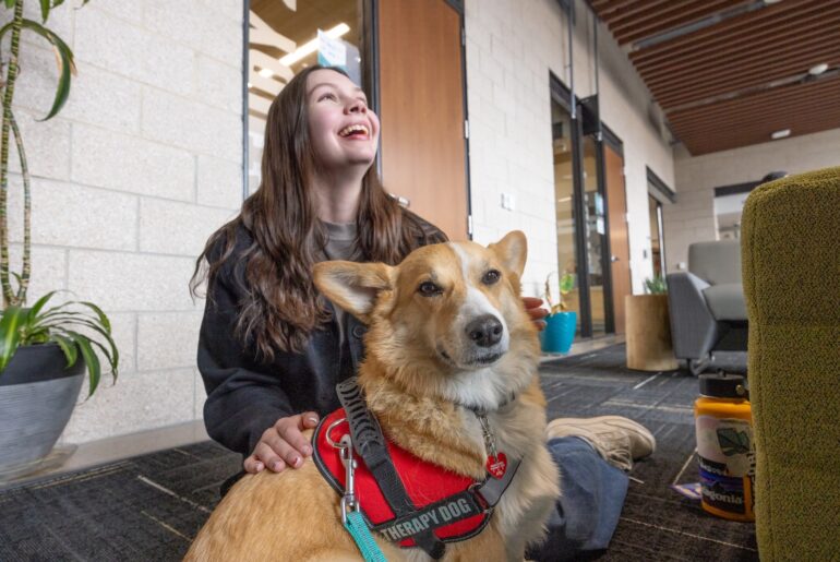 Wellness Week: Therapy Dogs Visit Campus