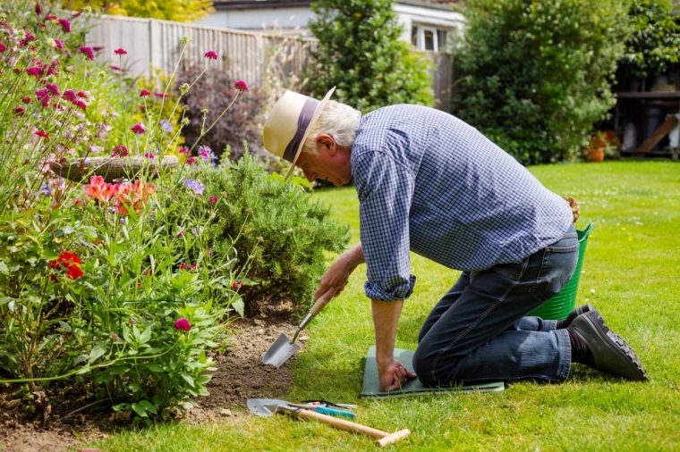 Color image depicting a retired senior man in his 60s digging the soil of a flowerbed in his garden. The man has an assortment of garden equipment on the grass by his side. He wears a blue check shirt and panama hat.