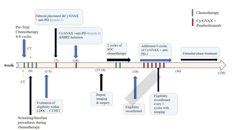 Pancreatic Cancer