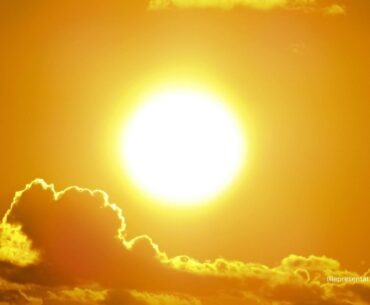 Experts weigh in on Vitamin D production
