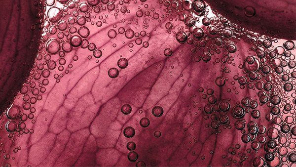 Global Cosmetics News