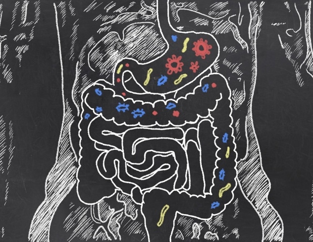Vitamin D may help shape how the immune system responds to gut bacteria in IBD patients