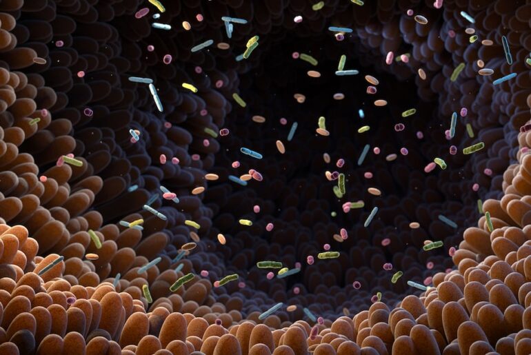 Can supplements influence gut health in obesity?