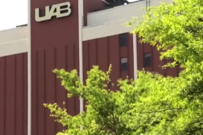 UAB researchers find immune switch linked to pregnancy complication