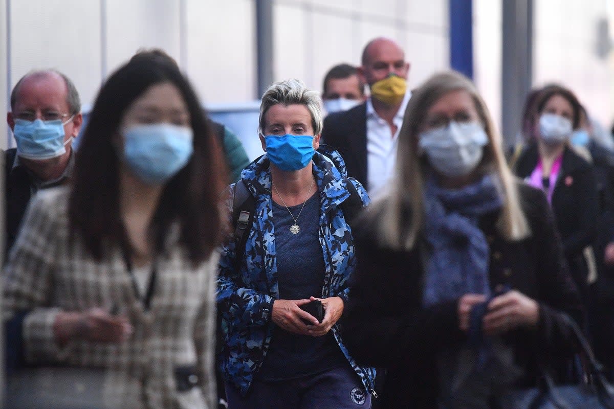 Researchers said Covid-19 could provide a ‘biological barrier’ against an as-yet-undiscovered sarbecovirus