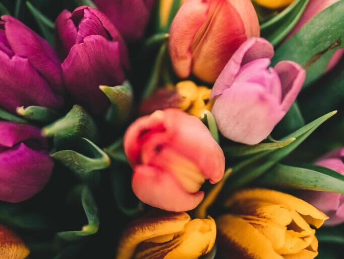 Only the Good Stuff: Multivitamins For Your Weekend {03.21.2026}