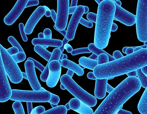 Specific gut bacterium Roseburia linked to stronger muscles and better fitness