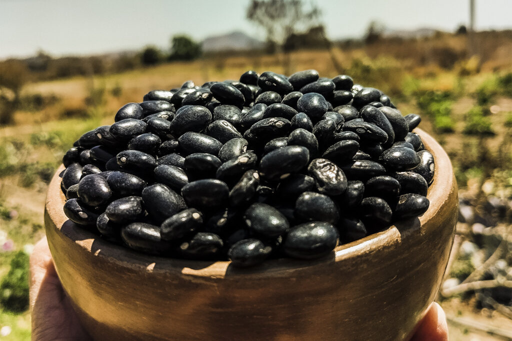 Farmers Demand Governor Monreal Open Promised Bean Collection Centers