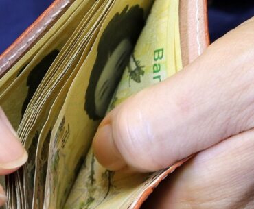 Petco Health & Wellness stock faces renewed pressure amid pet retail slowdown and high debt load